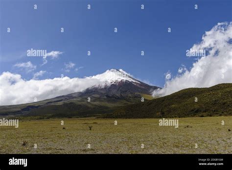 Volcano Cotopaxi, Ecuador Stock Photo - Alamy