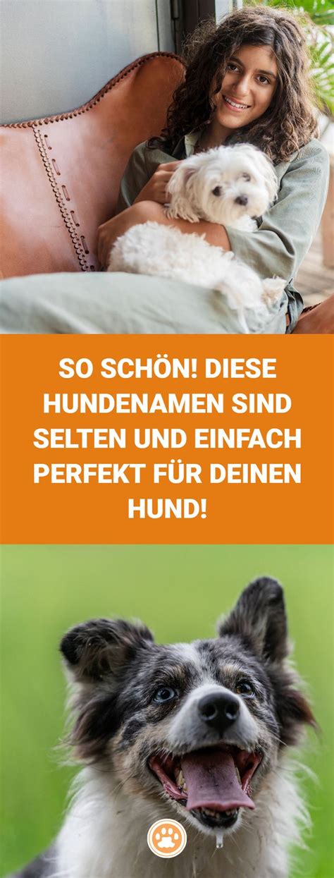 So viele Hunde haben ständig dieselben Namen Auch dein Hund möchte