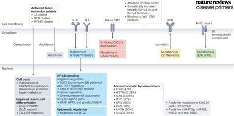 Nature Reviews Disease Primers On Twitter Genetic Alterations