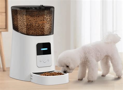 Treat Your Dog to Mealtimes With A Automatic Dog Feeder