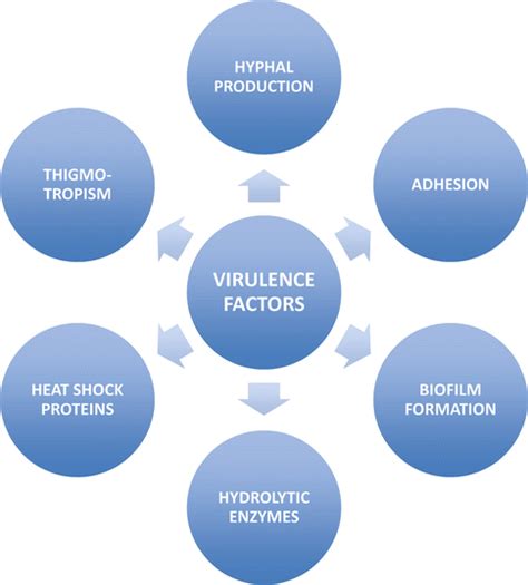 Candida Virulence Factors Springerlink