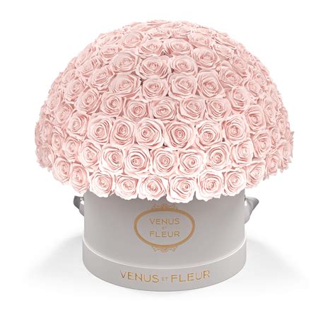 venus et fleur founder net worth
