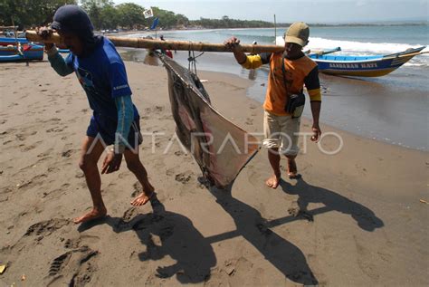 Sektor Perikanan Meningkat Antara Foto