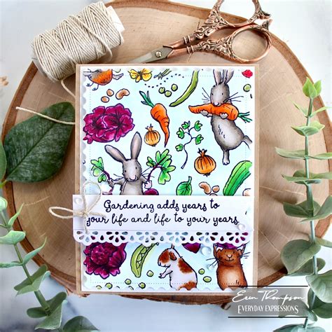 Colorado Craft Company And Anita Jeram Summer Garden Release Everyday