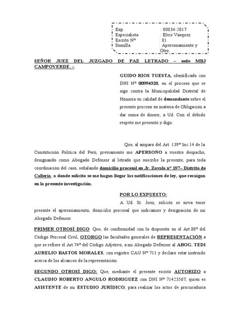 Apersonamiento Y Designación De Abogado Defensor En Proceso Judicial