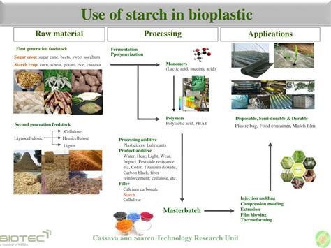 Ppt Promise Of Cassava In Biorefinery Powerpoint Presentation Free