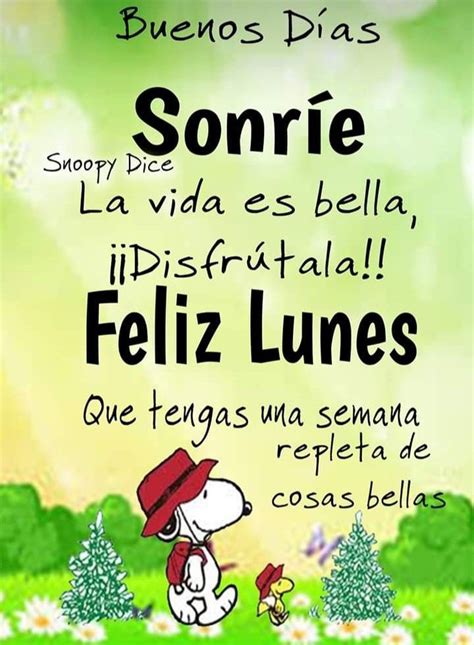 Buenos Dias Snoopy Imagenes Con Mensajes Feliz Inicio Semana  Lunes 295 Imágenes De Feliz