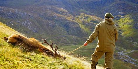 Traditional Red Stag and Sika Stag Hunting and Stalking in Scotland