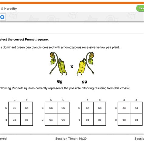 Homozygous Dominant Punnett Square