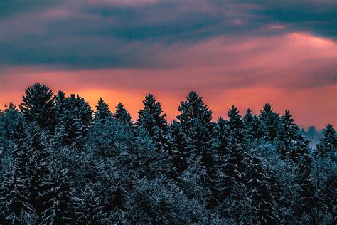 Winter Nature Trees Sky Snow Covered Snowbound Slovenia Hd