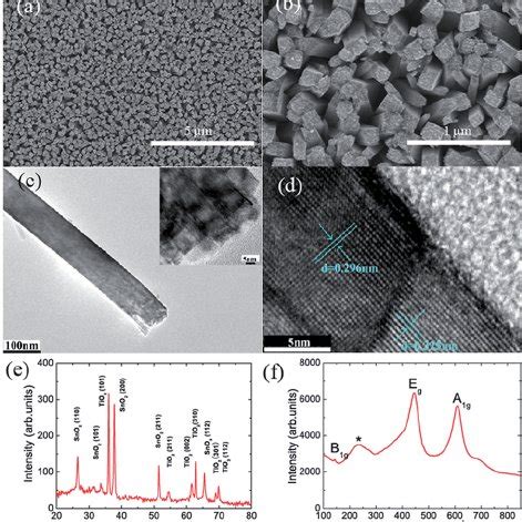 A And B Top View Sem Images Of Tnas At Di Ff Erent Magni Fi Cations