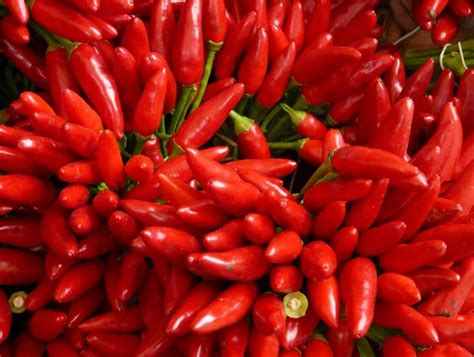 Красный жгучий перец полезные свойства - Зеркало Жизни