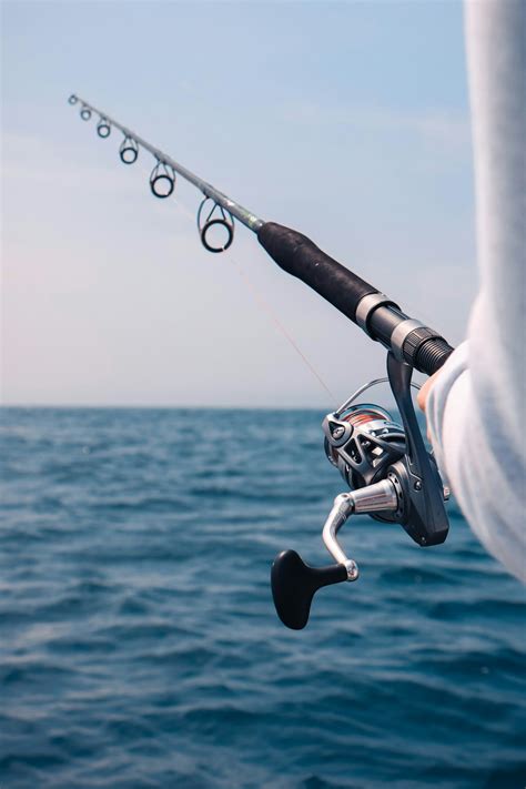 Best 100 Fishing Pictures Download Free Images On Unsplash