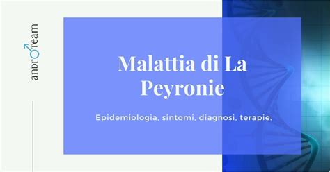 Malattia Di La Peyronie Guida Completa Androteam