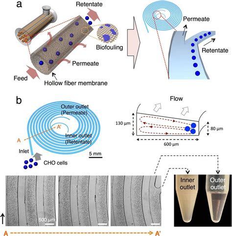 The Microfluidic Cell Retention Device A Cell Retention By Hollow