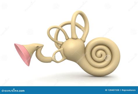 3d Rendered Inner Ear. Cochlea Isolated on a White Background Stock ...