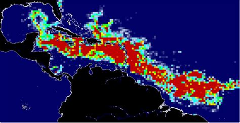 Sargassum Bloom From Space 2024 - Dana Milena