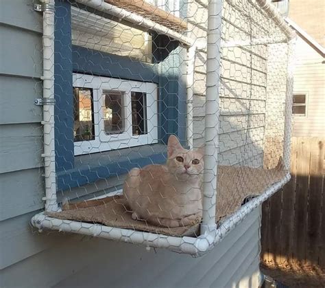 My Girlfriend And I Made This Catio For Our Window R Somethingimade