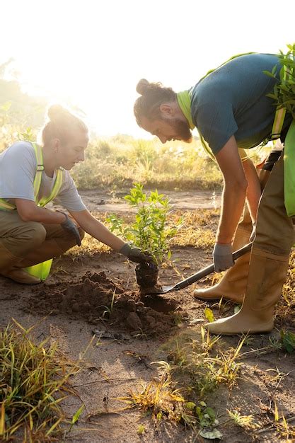 Gente plantando árboles en el campo Foto Gratis