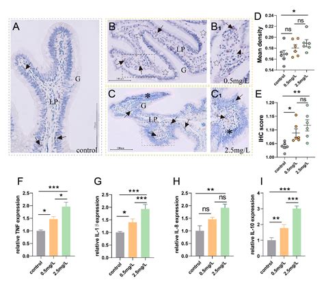 Pdf Ammonia Nitrogen Stress Damages The Intestinal Mucosal Barrier Of