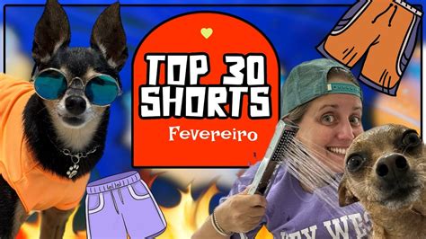 OS MELHORES SHORTS DE FEVEREIRO 2024 DOS PEQUENOS PRÍNCIPES COMPILADO