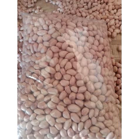 Jual 1kg Benih Kacang Tanah Varietas Gajah Kualitas Super Siap Tanam