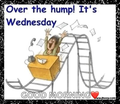 Hump Day Wednesday Hump Day Wednesday Work Discover Share Gifs