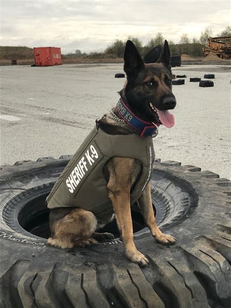 Lake Co Sheriffs Office K9 Receives Body Armor Donation