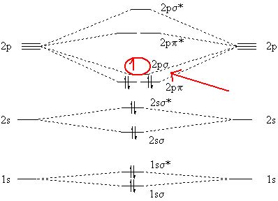 What is the molecular orbital diagram for C_2^-? | Socratic