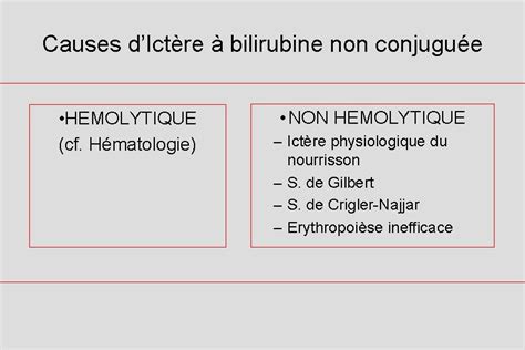 Cm Ictere Prrequis Anatomie Des Voies Biliaires Intra