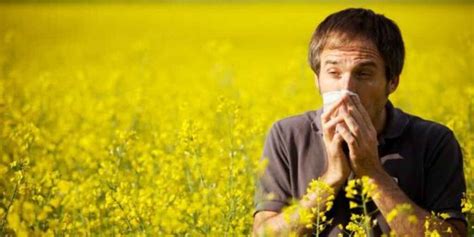 Pollen Allergy Cause Symptoms Treatment And Prevention Of Pollen Allergy