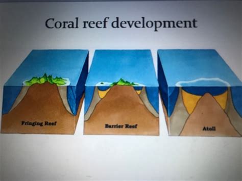 Introduction To Marine Biology Flashcards Quizlet