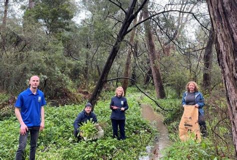 Historic Waterway In Ferntree Gully Renamed Ferntree Gully Star Mail