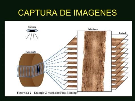 CAPTURA DE IMAGENES