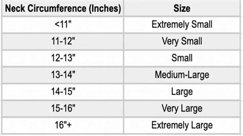 Average Neck Size and Circumference for Men and Women