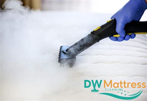 5 Ways To Eliminate Dust Mites From Your Mattress - Mattress Cleaning ...