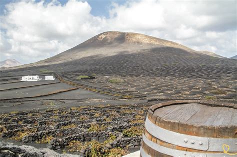 Ruta del Vino de Lanzarote La Geria y los viñedos volcánicos