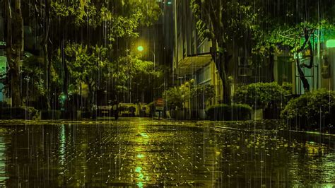 Light Rain On An Empty Road The Gentle Sound Of Rain Falling Helps