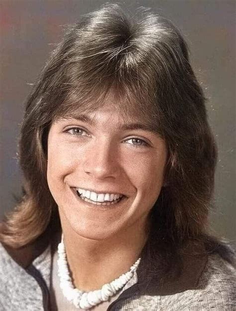 David Cassidy Dies At 67 After A Lifetime Chasing His Lost Youth Artofit