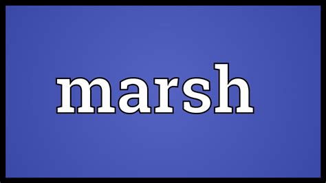 Marsh Meaning Youtube