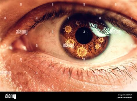 Primer Plano Fotografía Macro Del Ojo Humano Iris Pupila Pestañas De Los Ojos Tapas De Los