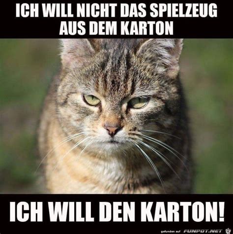 Pin von Katharina Willinger auf Kaffee Katzen lustige sprüche Katze