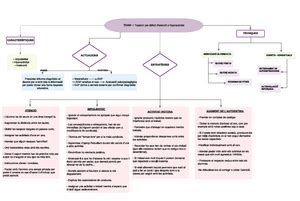 Mesures I Suports Per Atendre A L Alumnat Decret De D