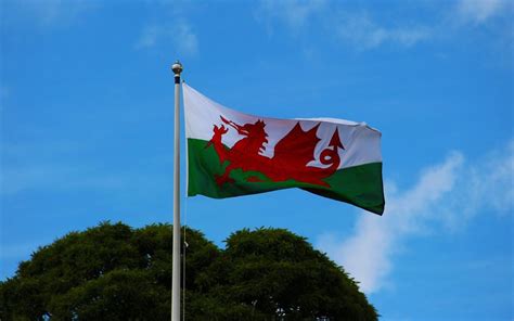 Training: Understanding and influencing Welsh legislation - Bevan ...