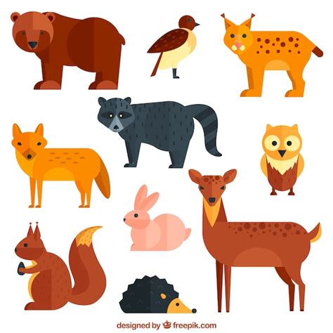 Free Vector | Geometric wild animals