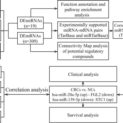 Flow Chart For Identifying The Mirna Mrna Regulatory Pairs And The