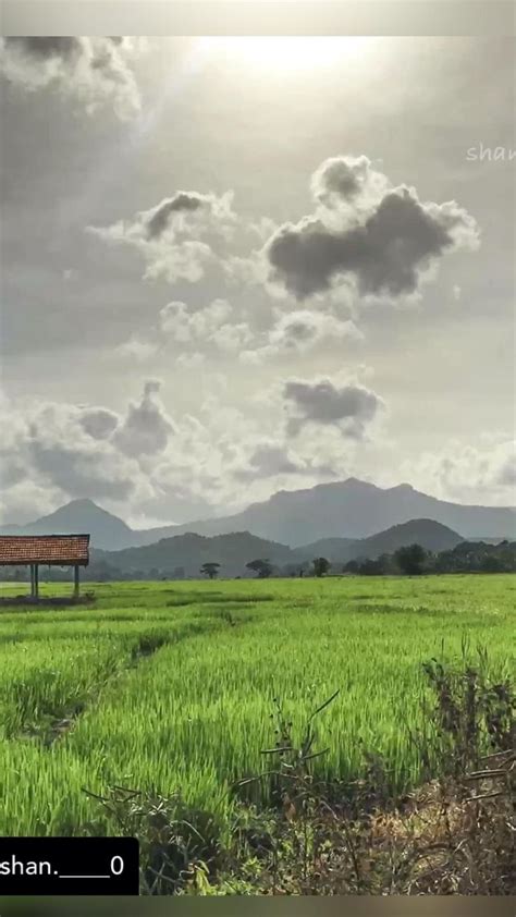 Sri Lankan village area #srilanka #villagelife | Travel photography ...