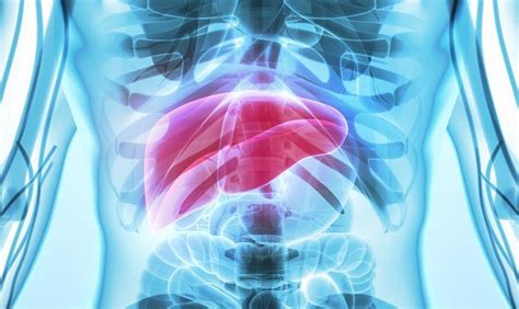 3 Agents to Watch for Decompensated Cirrhosis from NASH