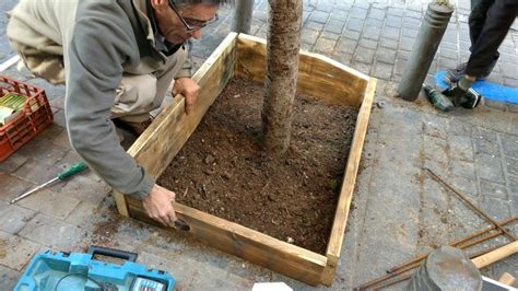 Ven a plantar jardines en alcorques Somos Chamberí