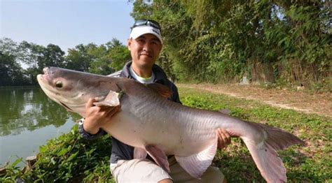 Fly, Spin, Trolling, Jigging in Vietnam, Fishing Trips Holiday, Fishing ...